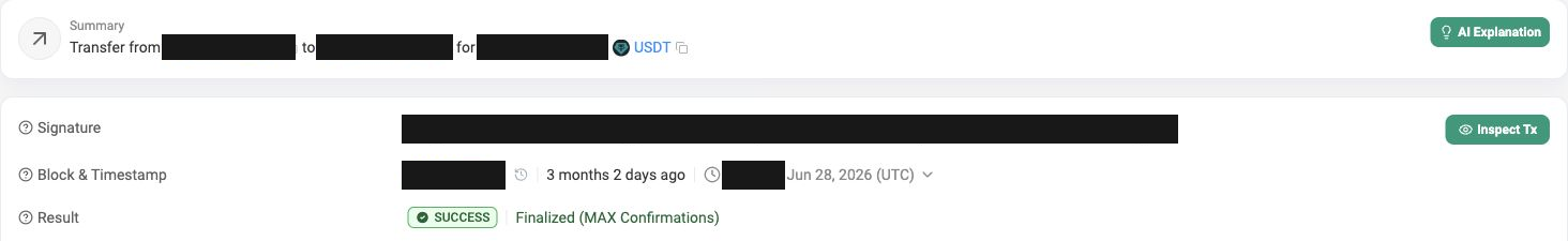 Redacted Solscan record showing a successful, finalized USDT transfer on June 28, 2026. Wallet addresses, transaction ID, amount, block number, and exact time are hidden for privacy.
